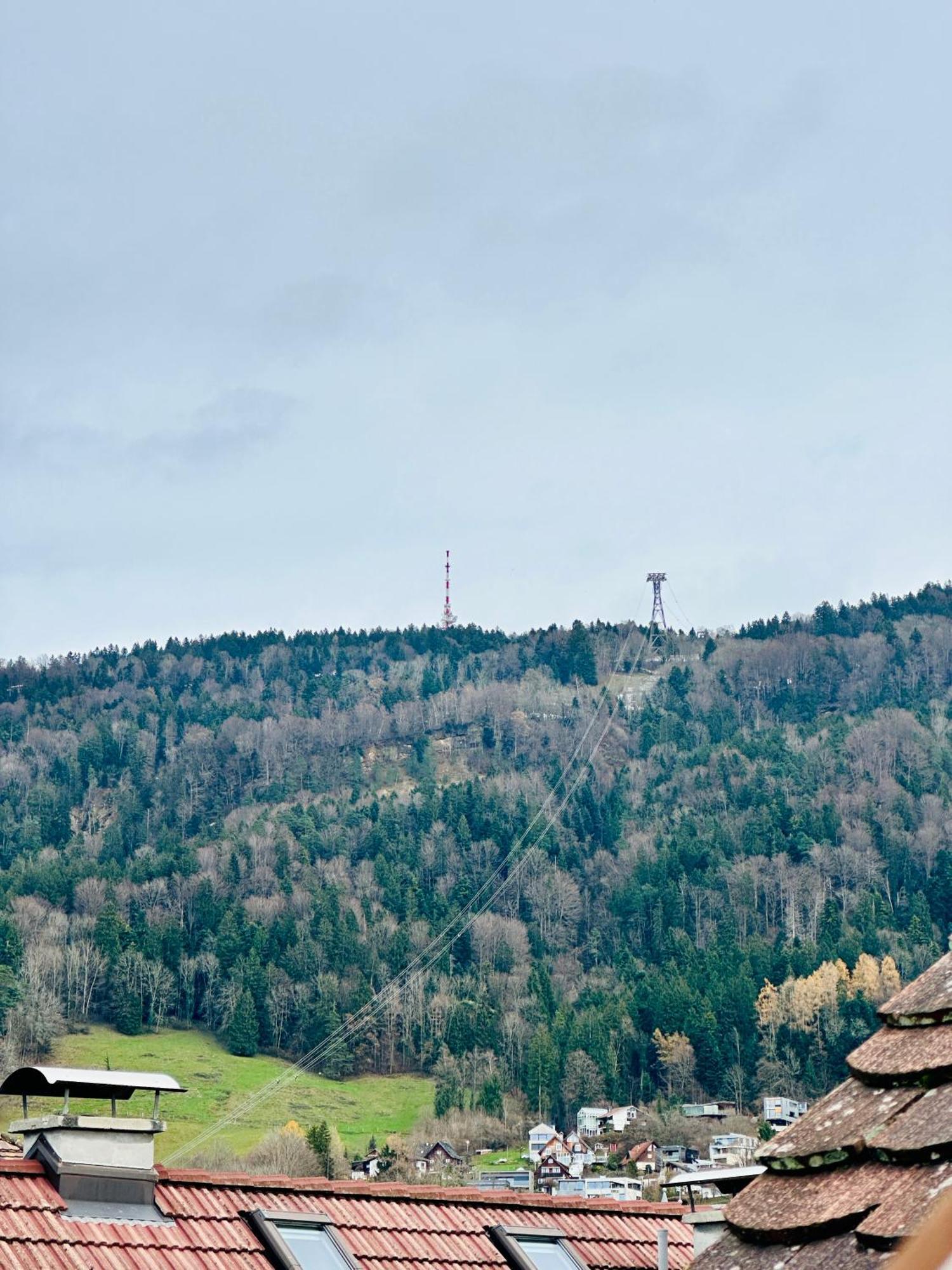 Zentrale Wohnung Mit Dachterasse Bregenz Bagian luar foto